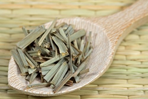 Citronella tegen Muggen
