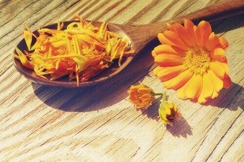 Goudsbloem