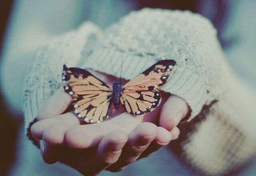 Een vlinder op een hand