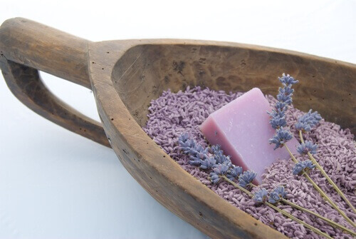 Lavendel