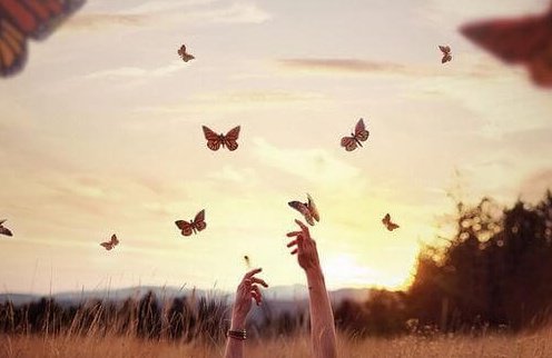 vlinders in de lucht
