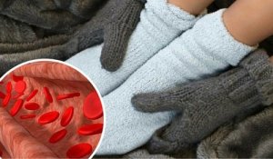 Middelen voor circulatie en ontsteking