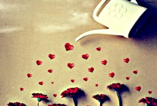 Liefde Laten Groeien