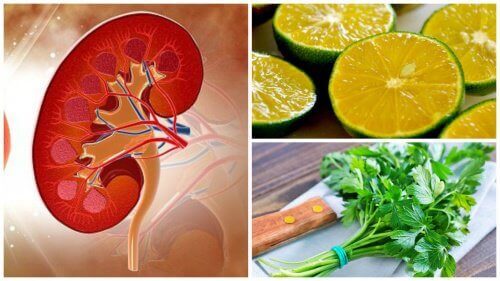 Siroop van citroen en peterselie tegen niersteen