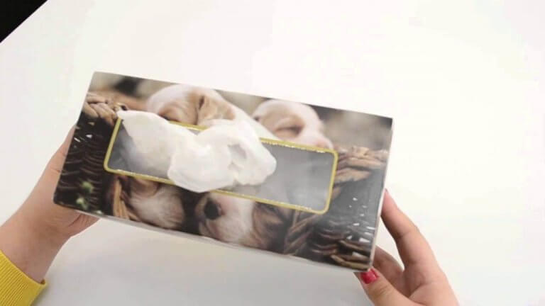 Zakjes in Tissuedoos