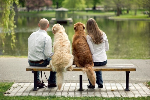 Man en vrouw op bankje