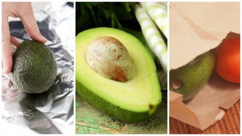 5 tips om snel een avocado te laten rijpen