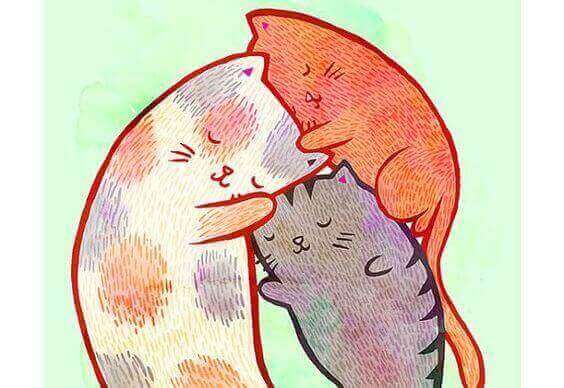 getekende slapende katjes