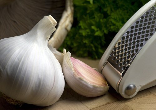 Knoflook
