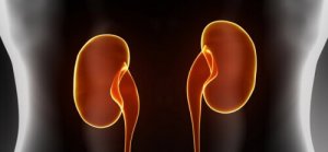 Acht vroege tekenen van nierinsufficiëntie