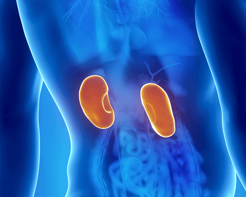 Nierproblemen door uitdroging