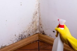 Zeven onfeilbare tips om schimmel te verwijderen