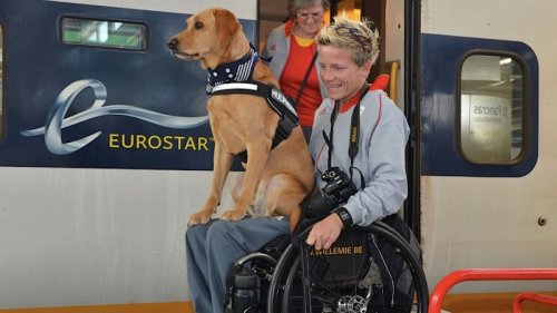Marieke Vervoort met Hulphond