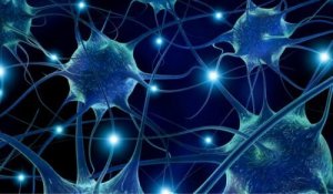 Voedingsmiddelen die je mentale gezondheid ondersteunen