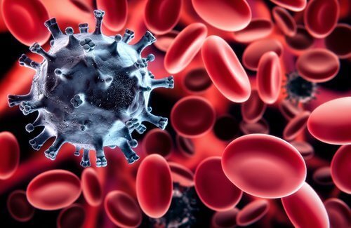 Bloedcellen in het immuunsysteem