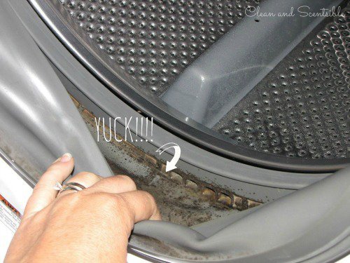 Schimmel in de wasmachine