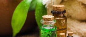 Tea tree olie: de geweldige olie die veel voordelen biedt