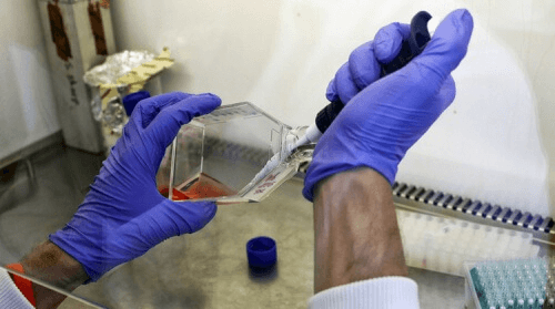 Beenmerg in een fles