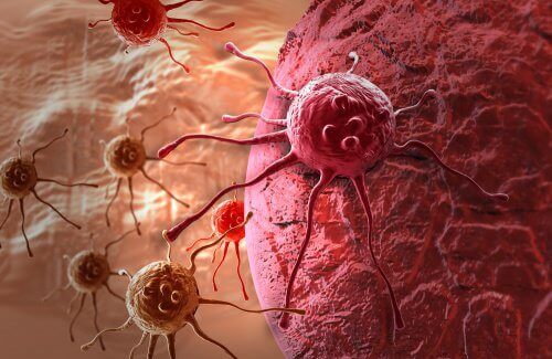 Behandeling van kanker als aanvulling op chemotherapie