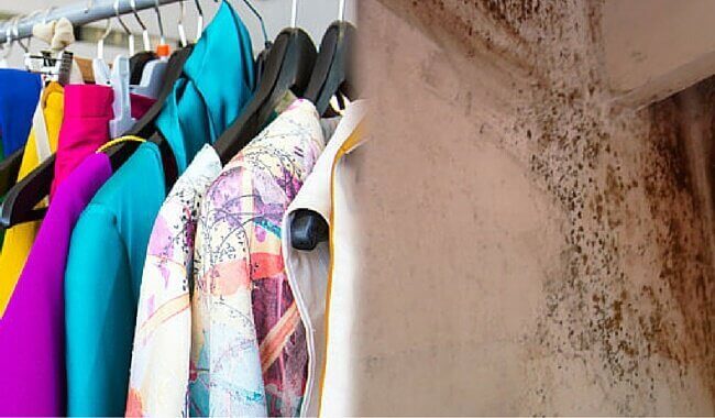 Kleding