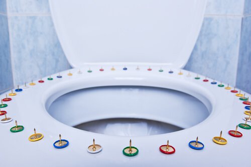 Punaises op Toiletbril