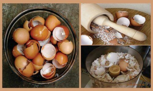 6 natuurlijke remedies met het gebruik van eierschalen