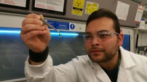 Hydrogel hoornvliezen kunnen het gezichtsvermogen teruggeven