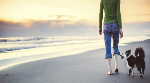 Hond Uitlaten op het Strand