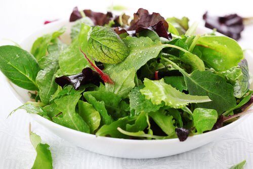 Groene Salade