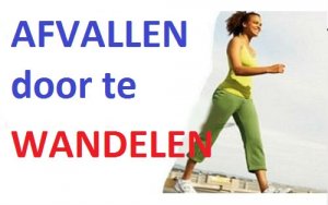 Afvallen door te wandelen