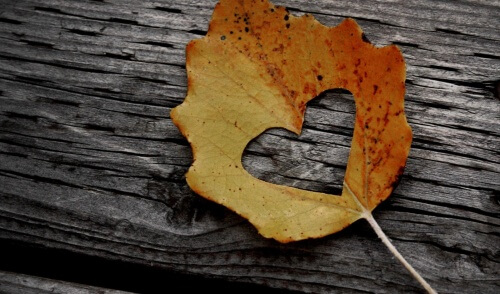 Blad met Gat in Hartvorm