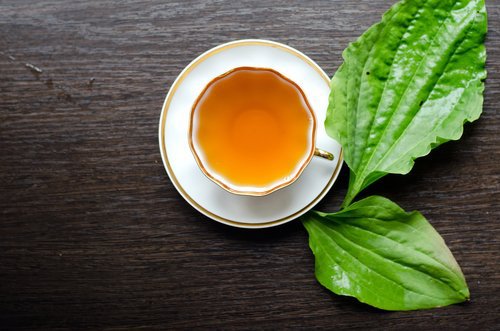 Kruidenthee in een kopje