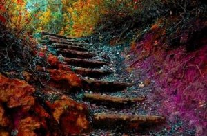 De ladder van het leven: hoe kan je een beter mens worden?