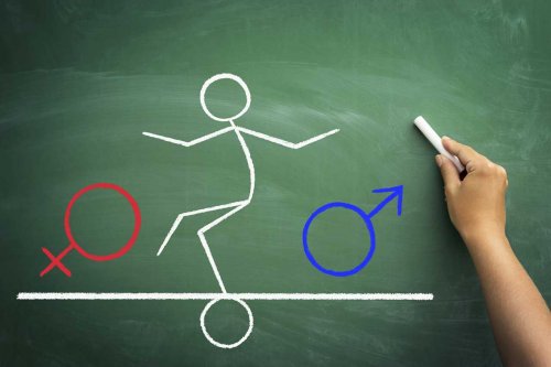 Seksuele Oriëntatie