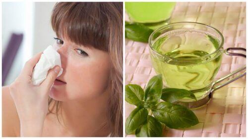 Een verstopte neus verlichten met deze 5 natuurlijke remedies