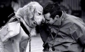 Vecht tegen heimwee samen met een hond