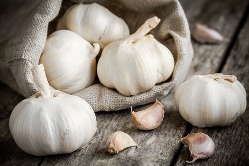 Knoflook