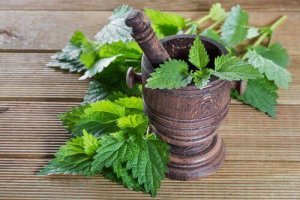 Brandnetel als middel bij hevige ongesteldheid
