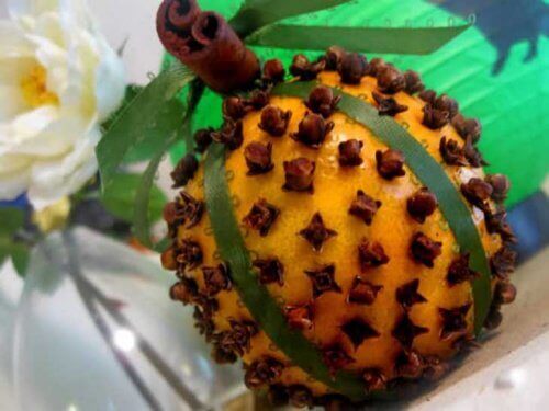 Sinaasappel met Kruidnagel tegen huisvliegen