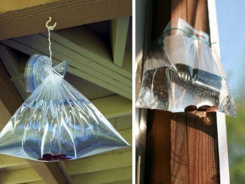 Wodkazakjes tegen huisvliegen