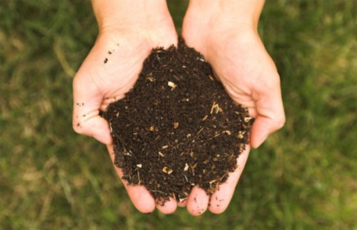 De basis van de nieuwe voedingspiramide