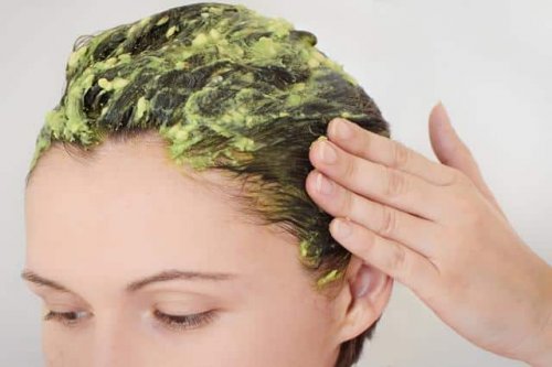Avocado voor je uiterlijke verzorging gebruiken in je haar