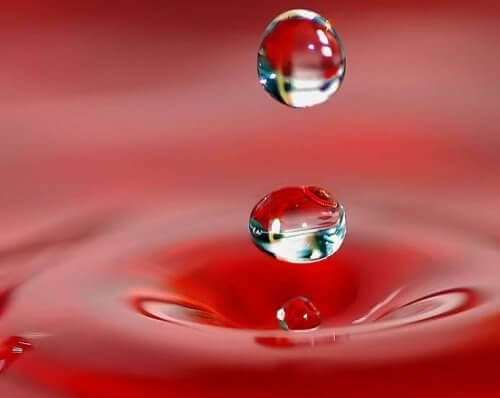 Waterdruppels