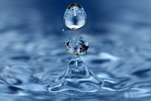 Water