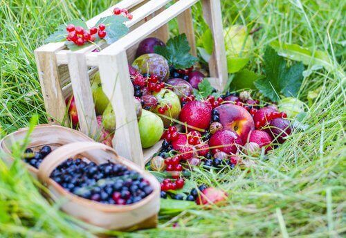 Appels en Bessen