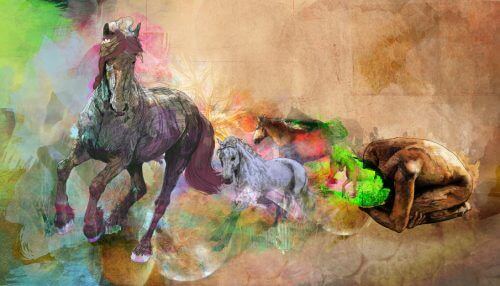 Paarden