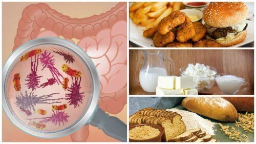 7 voedingsmiddelen die schadelijk voor je darmen zijn