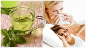 De 8 voordelen van het drinken van basilicumthee