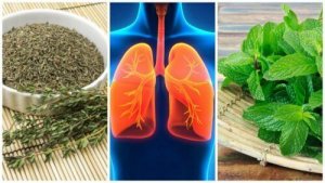 Verbeter de gezondheid van je longen met 8 kruiden