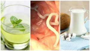 5 thuisremedies tegen darmparasieten